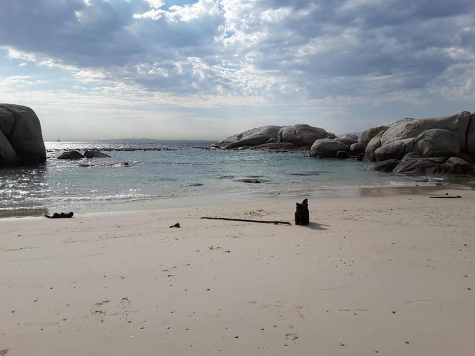 דירות Simonʼs Town Porcupine Walk מראה חיצוני תמונה