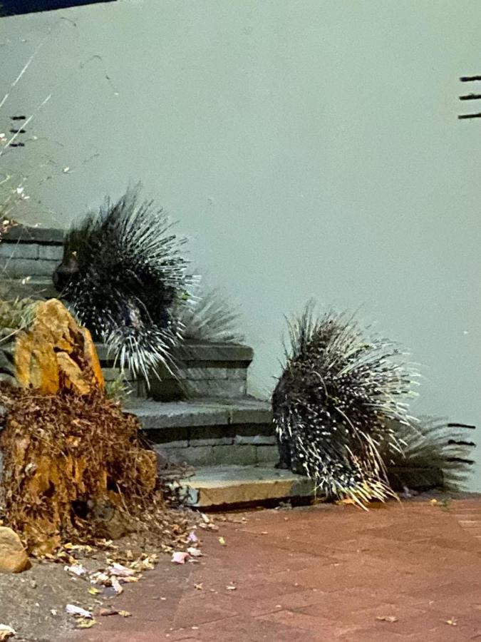 דירות Simonʼs Town Porcupine Walk מראה חיצוני תמונה