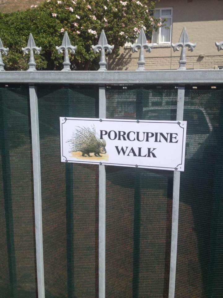 דירות Simonʼs Town Porcupine Walk מראה חיצוני תמונה