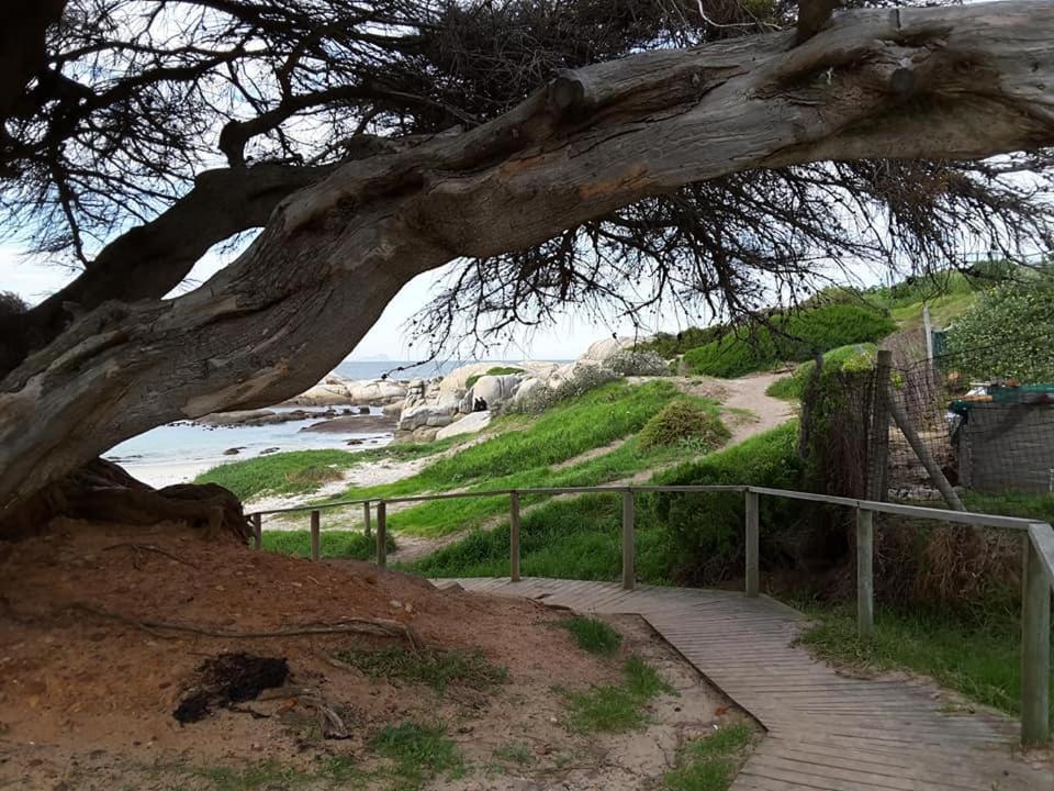 דירות Simonʼs Town Porcupine Walk מראה חיצוני תמונה